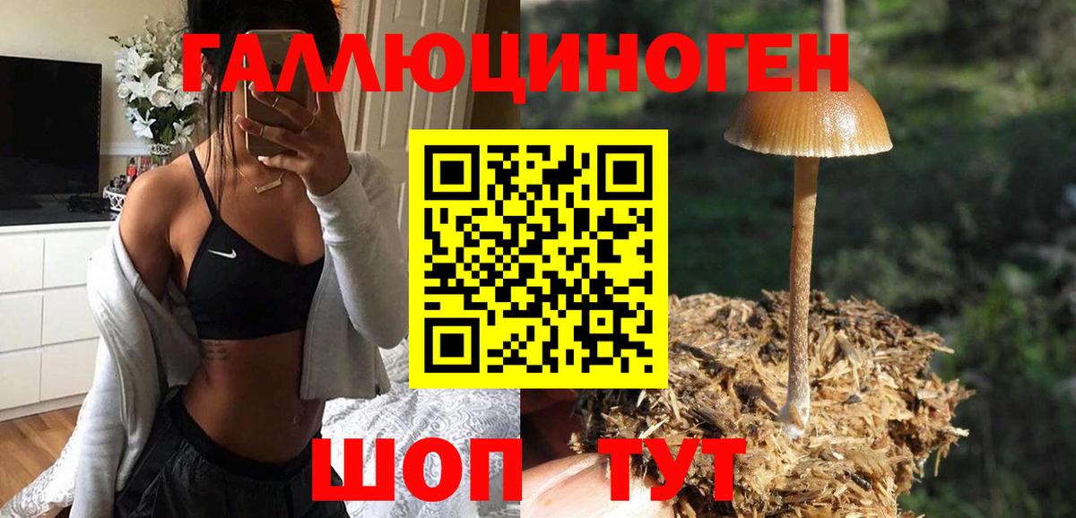 Галлюциногенные грибы MAGIC MUSHROOMS  Псилоцибиновые грибы мицелий  Рузаевка  Вход с VPN 