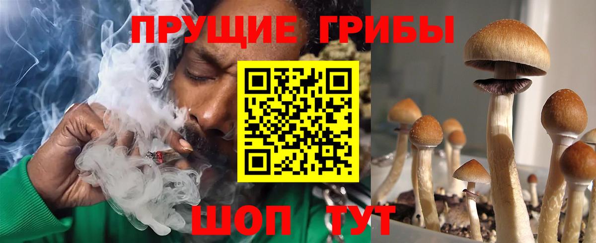 Псилоцибиновые грибы мухоморы Рузаевка